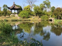 -鹅湖玫瑰文化园