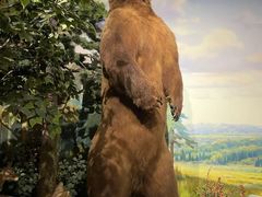 -陕西自然博物馆