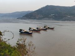 -北岐滩涂