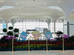 -杭州萧山国际机场