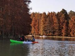 -上海海湾国家森林公园