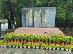 -老龙头景区