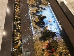 -眉州东坡(中关村店)