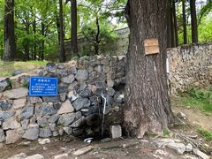 -阳台山自然风景区