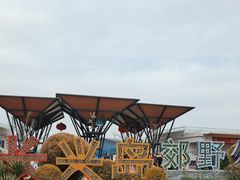 -上海长兴岛郊野公园