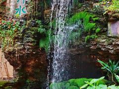 -广州白天鹅宾馆