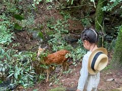 -昆明青龙峡风景区