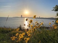 -青岛第一海水浴场