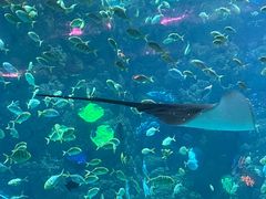 -海合安青岛极地海洋公园