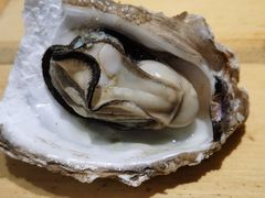 -老杨太太烧烤(文化广场店)