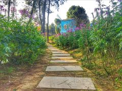 -铁山坪森林公园