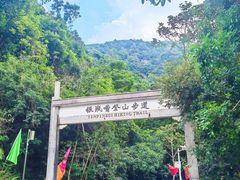 -银瓶嘴森林公园