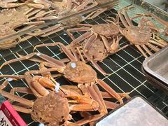 -阿毛饭店·宁波老字号(儿童公园旗舰店)