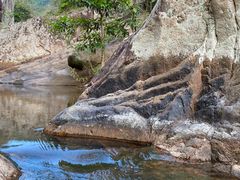 -海南霸王岭国家森林公园