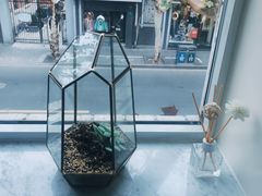 -蝶舍·MAISON PAPILLON