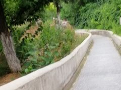 -十渡高山漂流