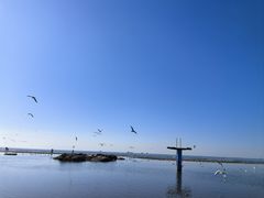 -老虎石海上公园