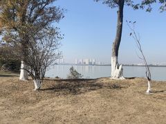 -瑶湖郊野森林公园