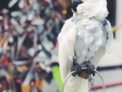 -卤儿道道(经纬店)