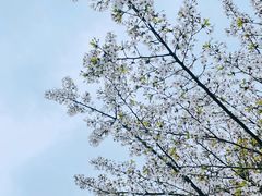 -石湖景区