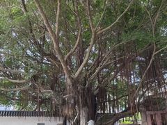 -闽粤南澳总镇府