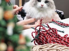 -比斯特上海购物村精品奥特莱斯