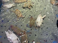 -澜悦港海鲜体验主题餐厅