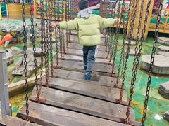 -上海大自然野生昆虫馆(东方明珠·爬宠昆虫探索中心)
