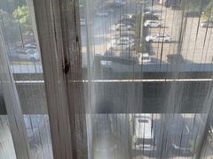 -麗枫酒店(广州汉溪长隆站野生动物园景区店)