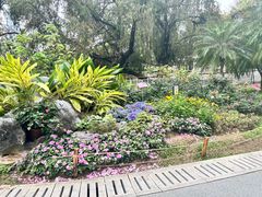 -人民公园(罗湖区)