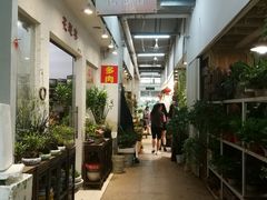 -双季花艺园艺市场(浦东店)