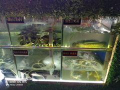 水产区-秋语木桶鱼.酸菜鱼(开发区火车站店)