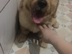 -堂会(白云店)