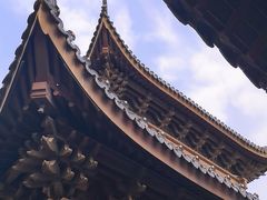 -宛园