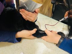 -萌兽医馆·犬猫专科·眼科中心·宠物医院(朝阳门分院)