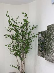 -AIST爱思特医疗美容医院