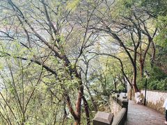 -白帝城·瞿塘峡景区