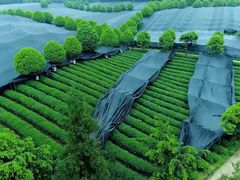 -美斯烘焙培训学院•蛋糕•面包•咖啡(宝安校区)