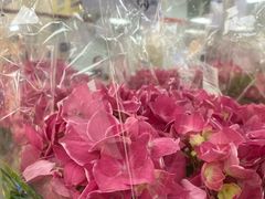 -山姆会员商店(大连店)