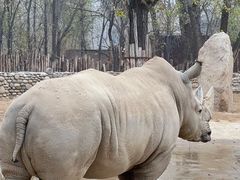 -北京野生动物园