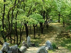 -国家植物园南园