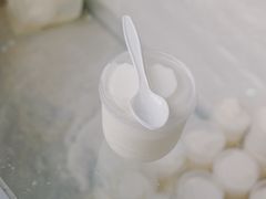 -洪馨椰子