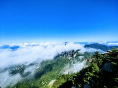 -洛阳白云山景区