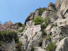 -泰山风景名胜区