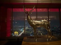 -北京柏悦酒店·锦庭餐厅Dining Room