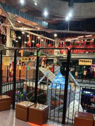 -嗨翻Hi-Fun竞技主题乐园·蹦床团建生日聚会(五棵松华熙店)