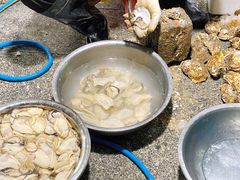 -花苑美食横琴生蚝火锅(拱北粤华路店)