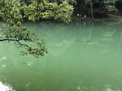 -缙云山景区