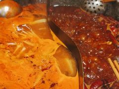 -朱光玉火锅馆(正弘城店)