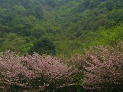 -宁波五龙潭景区